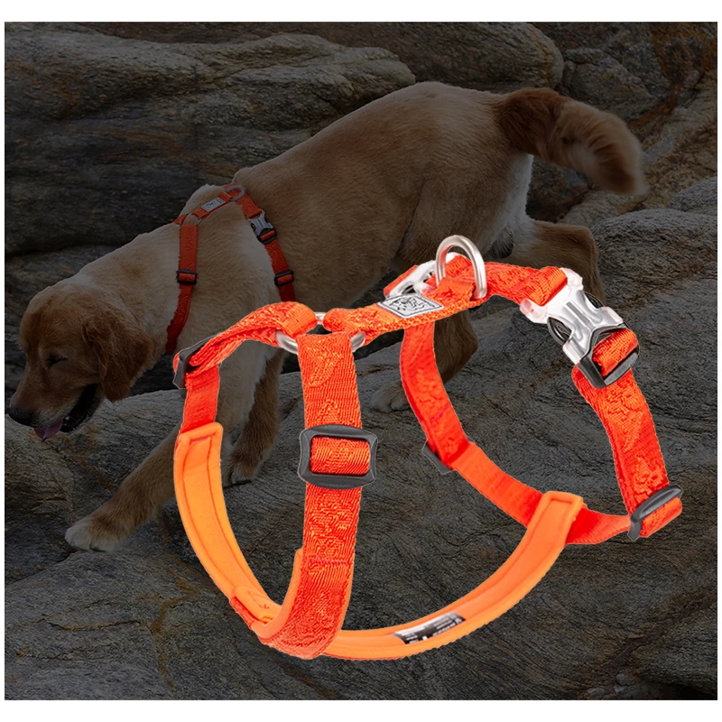 TRUELOVE Pet Hairy Usag Premiu - đánh giá và giá Runners Gear