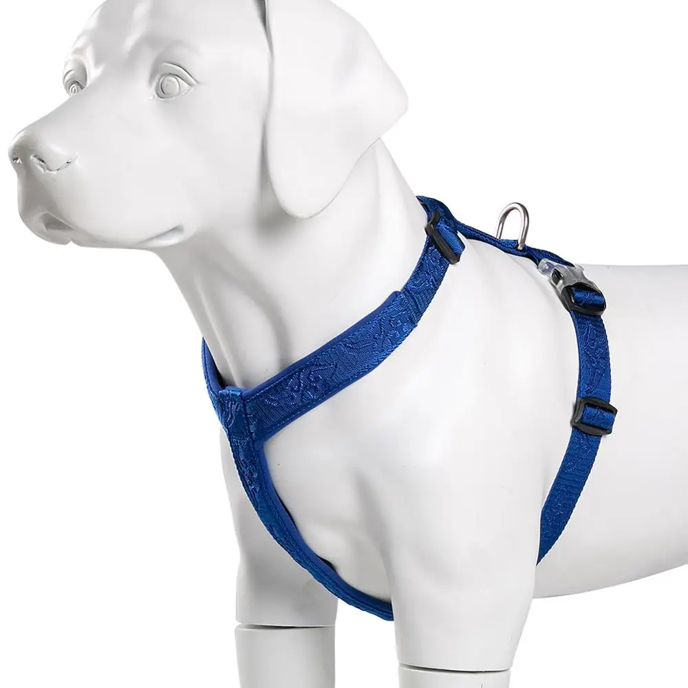 TRUELOVE Pet Hairy Usag Premiu - đánh giá và giá Runners Gear