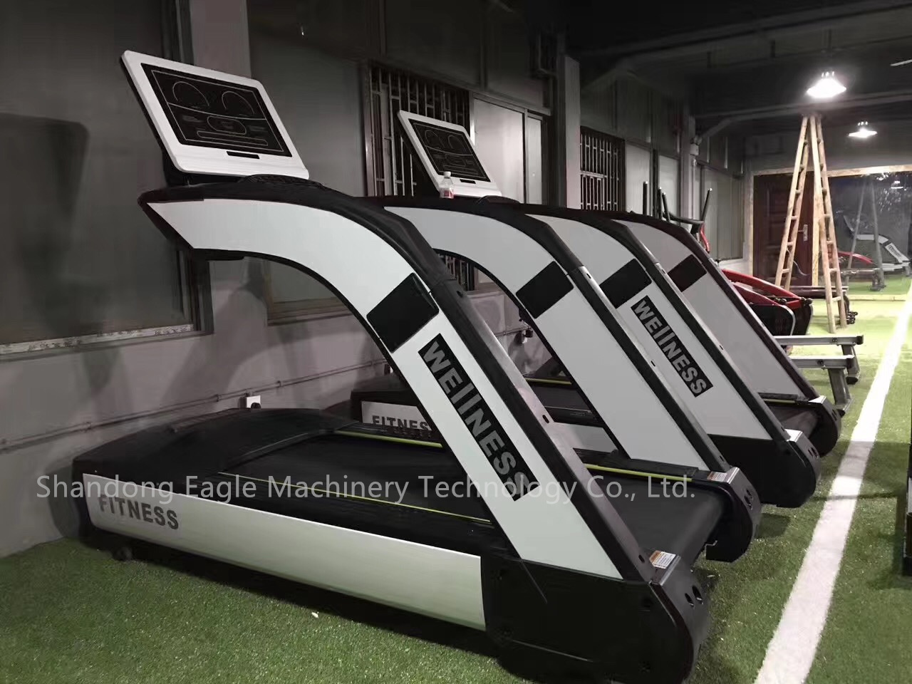 Professional Running Treadmill - đánh giá và giá Running Gear Equipment