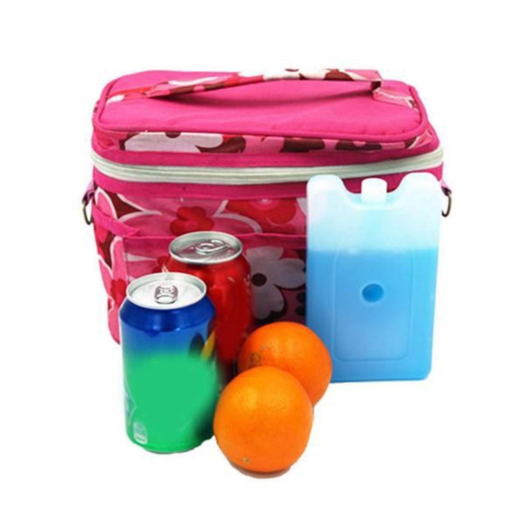 Gel Freezer Ice Blocks Travel  - đánh giá và giá Energy Gel Pack